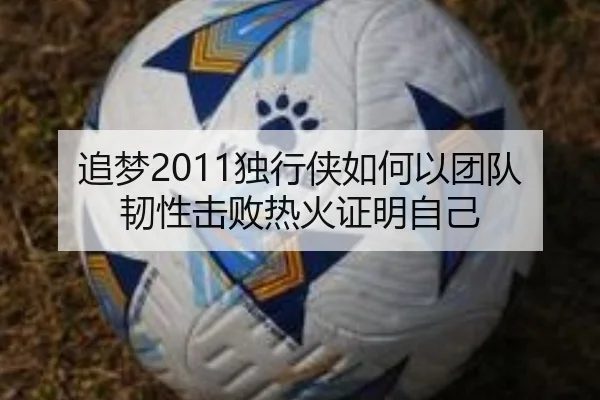 追梦2011独行侠如何以团队韧性击败热火证明自己